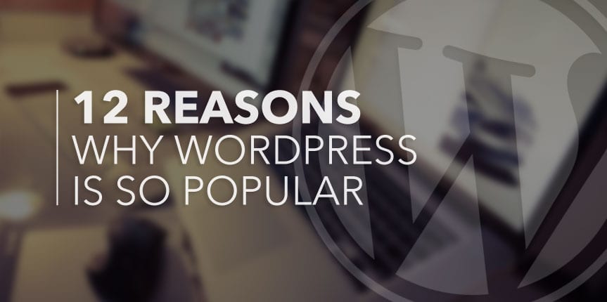 Why wordepress is so popular
