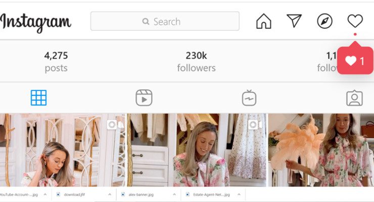 Instagram Influencer Accounts
